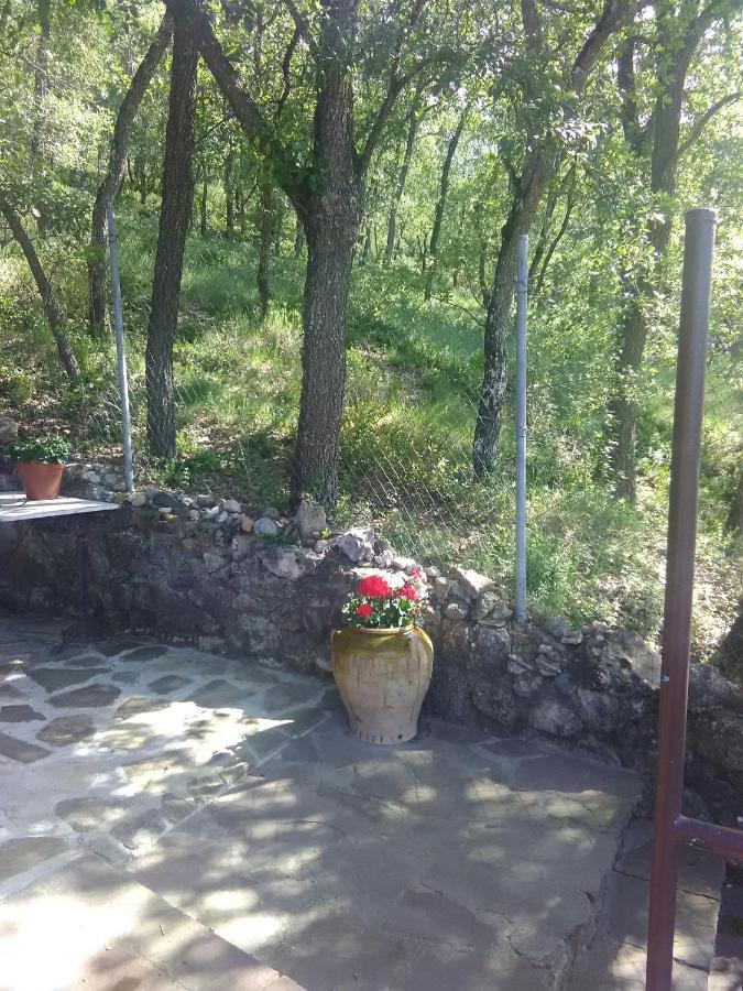 Casa Tao Terradets Villa Llimiana Esterno foto